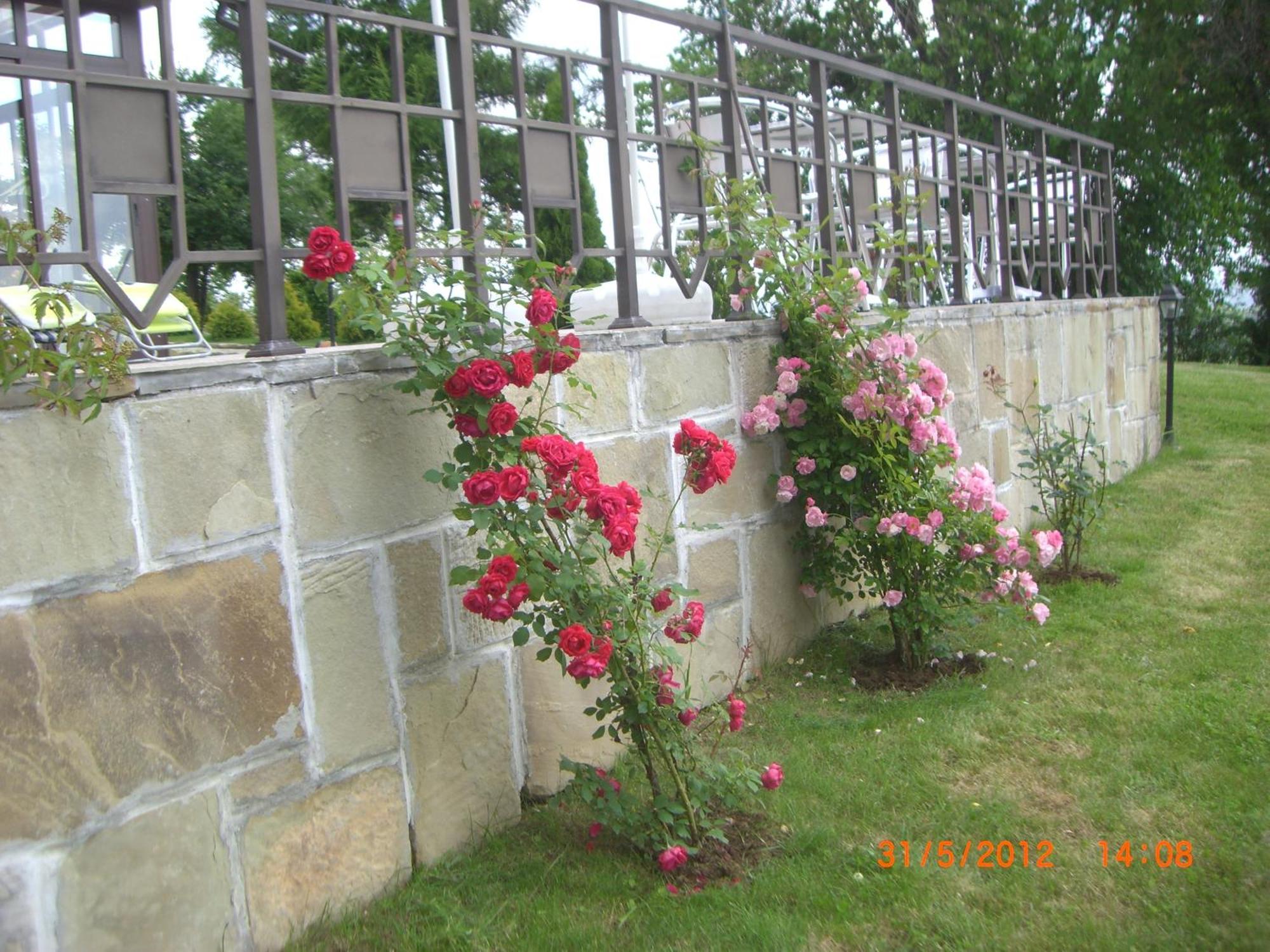 Park Hotel Arbanassi מראה חיצוני תמונה